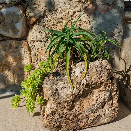 Kirigin Daire Dubrovnik